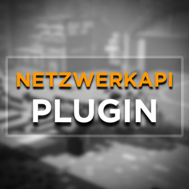 NETZWERKAPI - Minecraft Plugin | inkl. Sourcecode