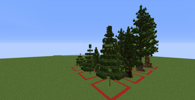 Pine Tree Bundle
